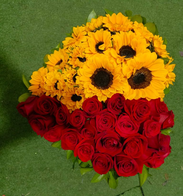 Imagen de WhatsApp 2025-01-17 a las 18.32.41_fb0222cb