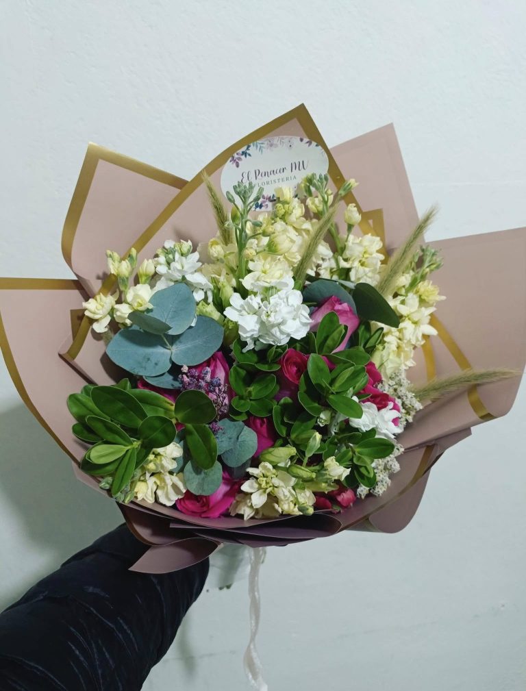 473621489_122176099826248977_1333698145277192540_n